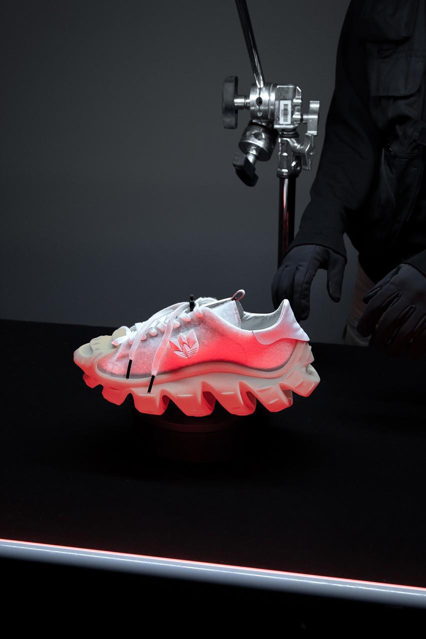 La "superstar des ammonites" de M. Bailey explore l'évolution de la Shell Toe
