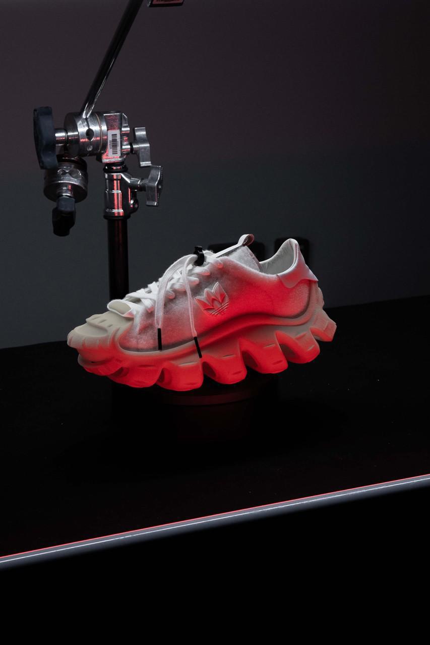 La "superstar des ammonites" de M. Bailey explore l'évolution de la Shell Toe