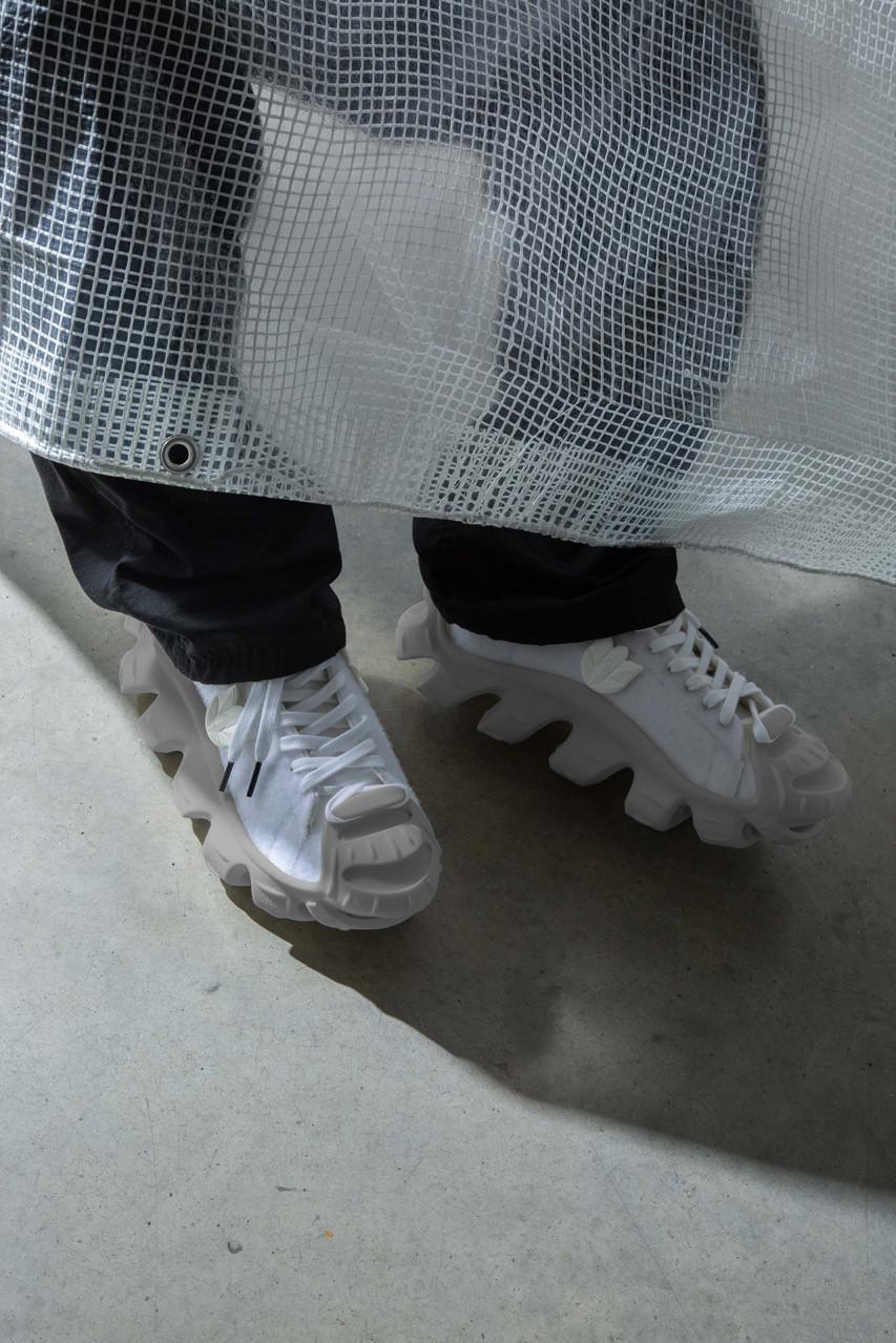 La "superstar des ammonites" de M. Bailey explore l'évolution de la Shell Toe