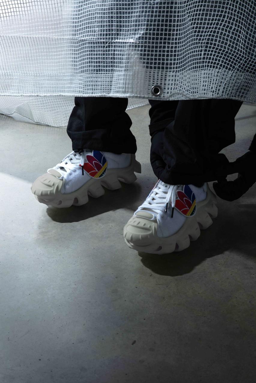 La "superstar des ammonites" de M. Bailey explore l'évolution de la Shell Toe