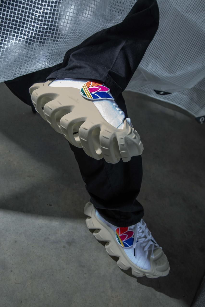 La "superstar des ammonites" de M. Bailey explore l'évolution de la Shell Toe