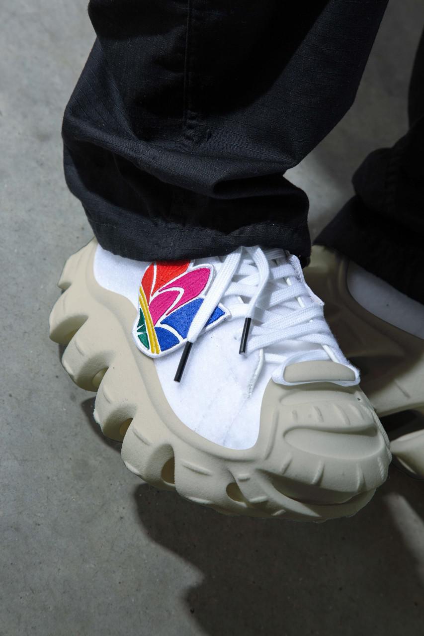 La "superstar des ammonites" de M. Bailey explore l'évolution de la Shell Toe