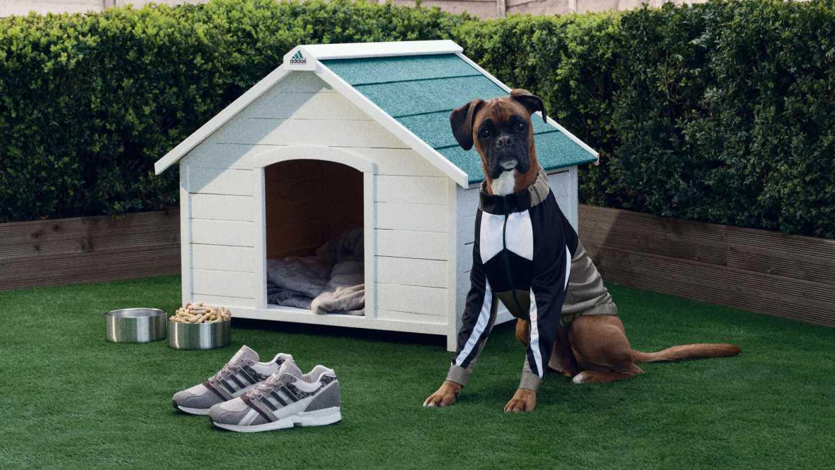 Adidas dévoile la gamme de collaboration du 30e anniversaire de l'EQT. Adidas dévoile la gamme de collaboration du 30e anniversaire de l'EQT.