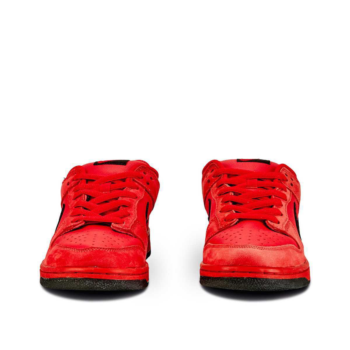 NIKE SB Dunk Low True Red NIKE SB Dunk Low True Red