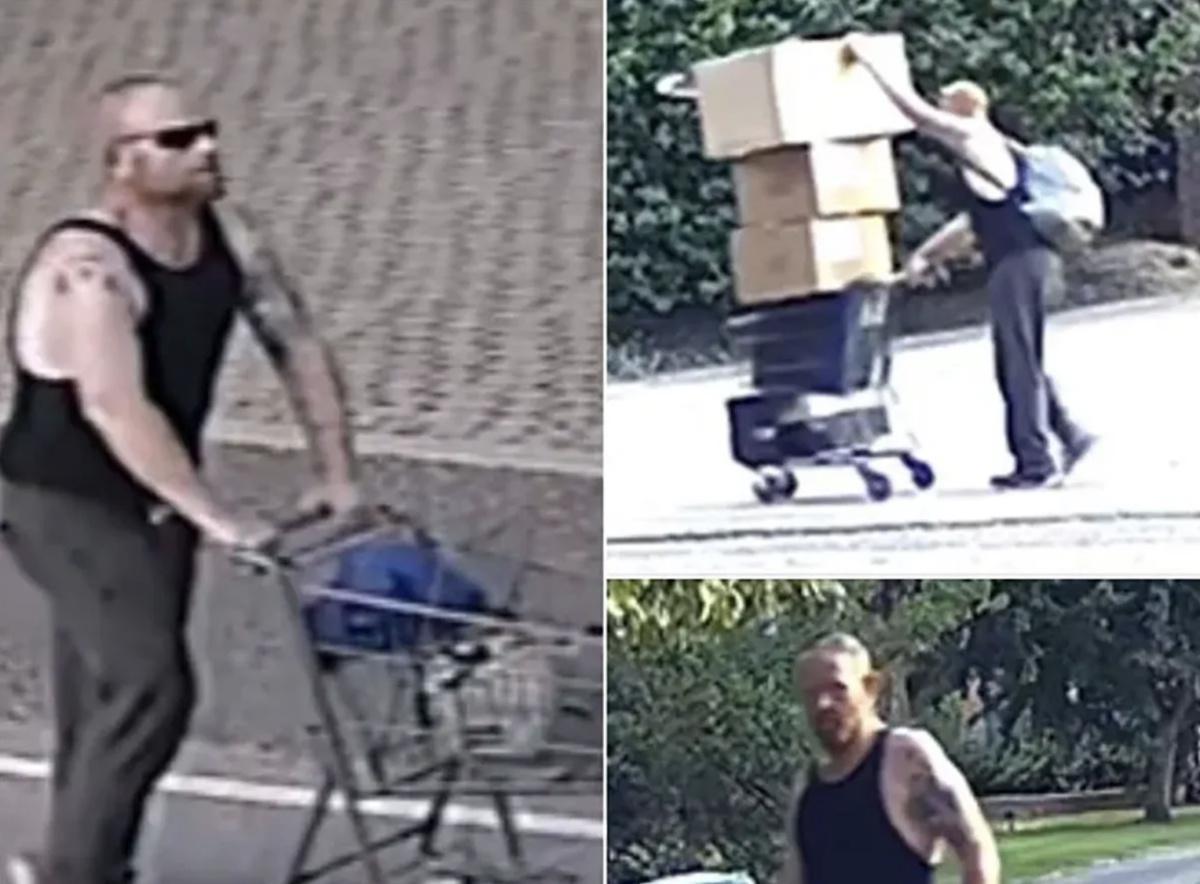 26 paires de Foamposites rares volées au domicile de Penny Hardaway ; le suspect est en garde à vue 26 paires de Foamposites rares volées au domicile de Penny Hardaway ; le suspect est en garde à vue