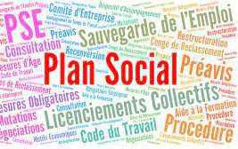 Guide des Mesures P.S.E 2021 