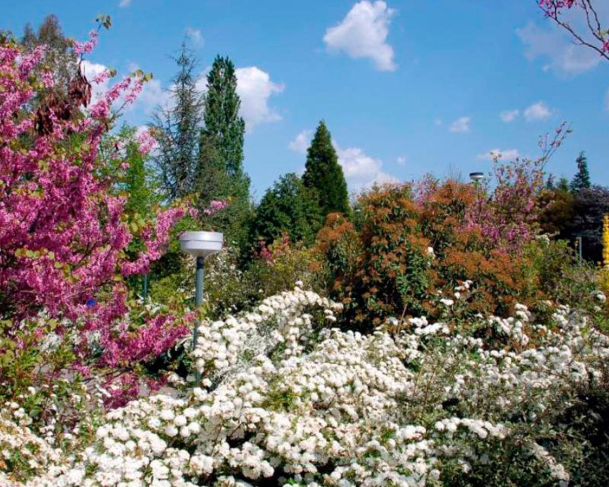 Jardim Botânico da UTAD Jardim Botânico da UTAD