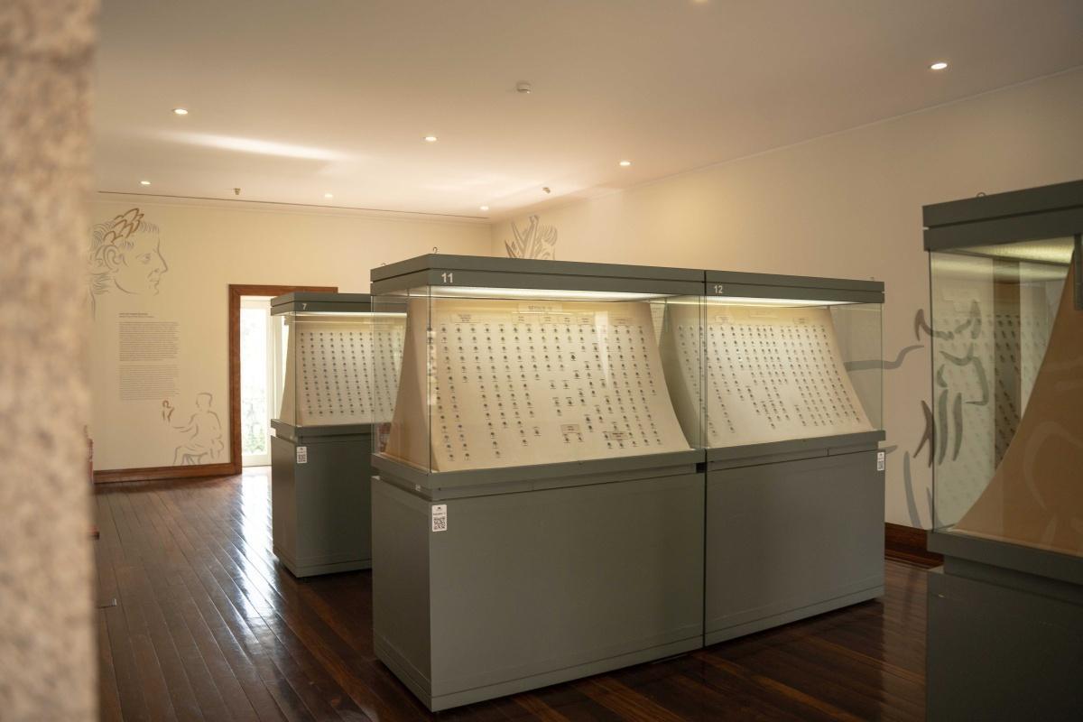 Museu de Arqueologia e Numismática Museu de Arqueologia e Numismática