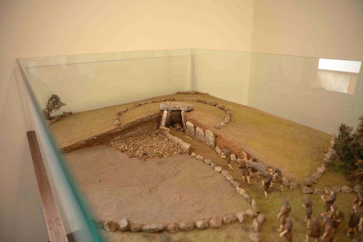 Museu de Arqueologia e Numismática Museu de Arqueologia e Numismática