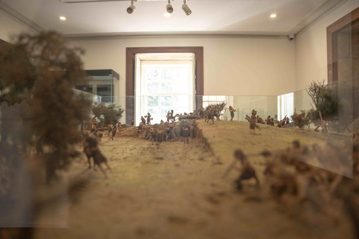 Museu de Arqueologia e Numismática