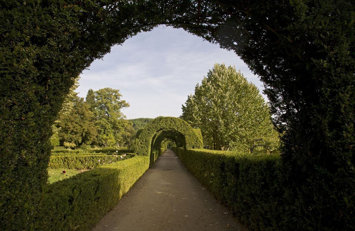 Palace/House of Mateus Palace/House of Mateus