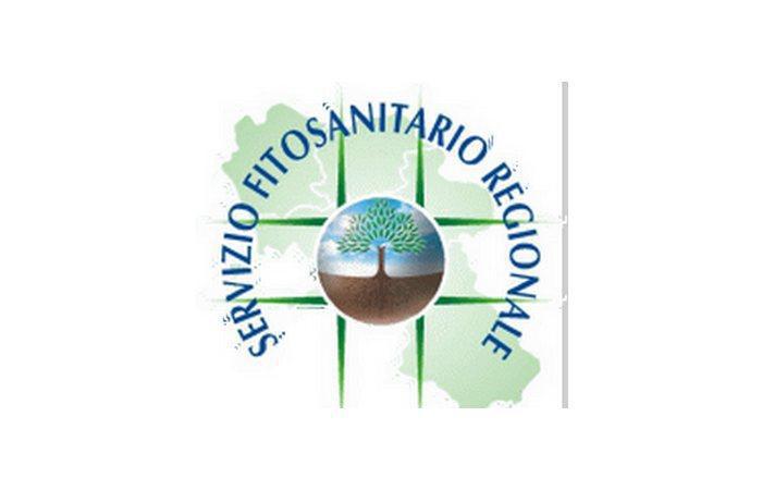 Deroghe territoriali