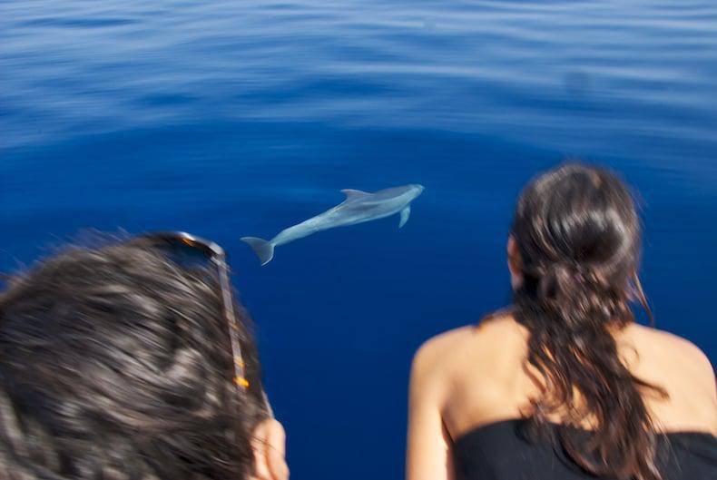 Private Sailing Day Trip Private Sailing Day Trip