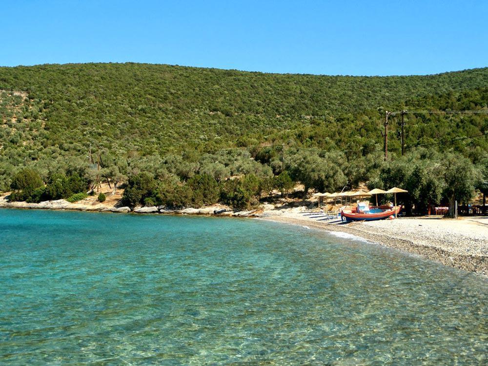 Alogoporos | pagasitikos