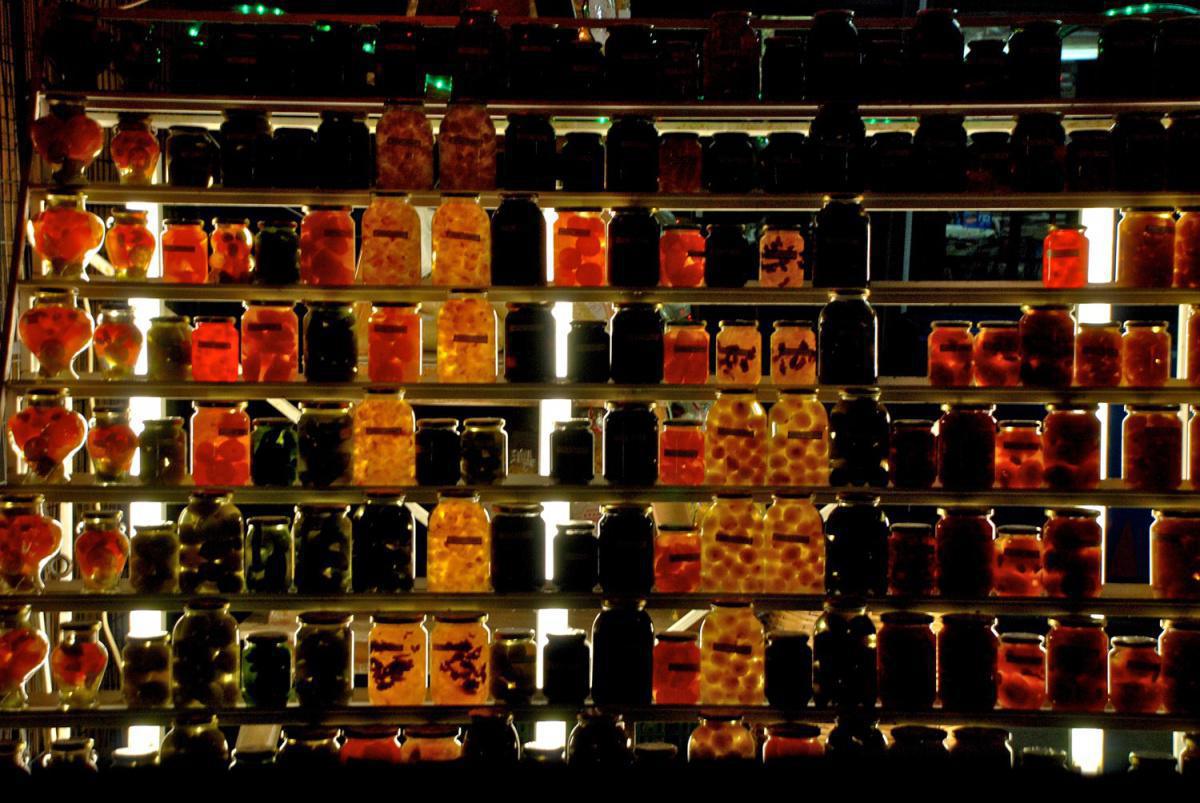 Day Trip #1 | Explore Pagasitikos Day Trip #1 | Explore Pagasitikos