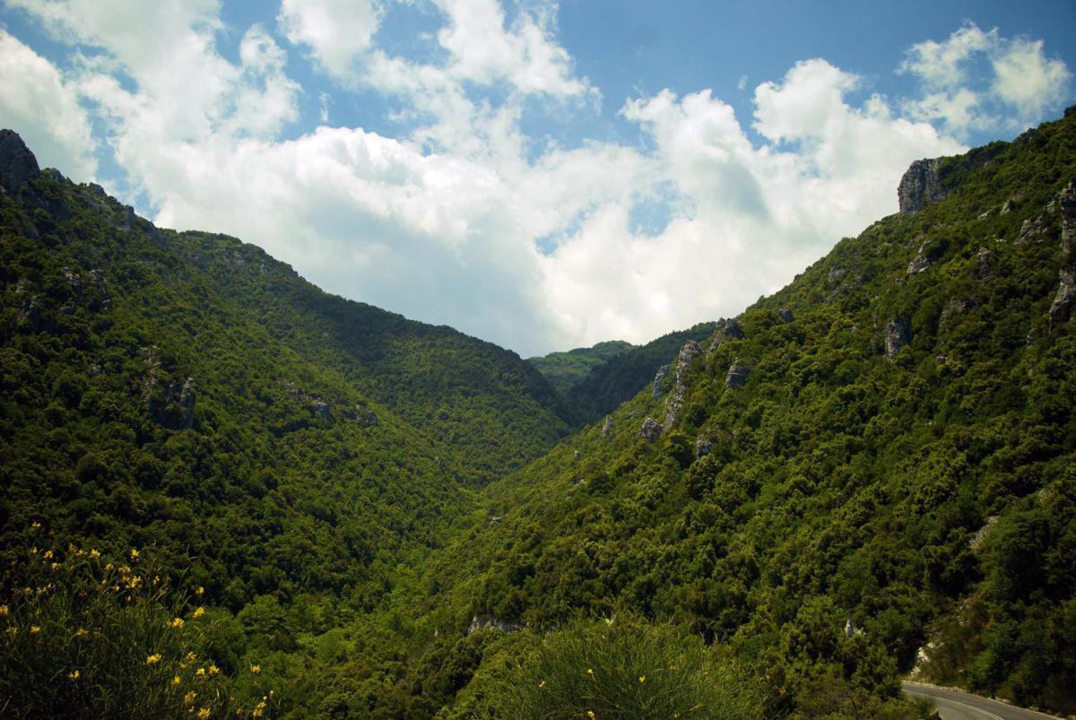 Round Trip of Mount Pelion Round Trip of Mount Pelion