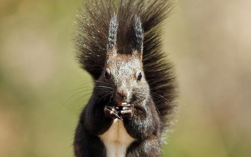 What's out there - What to listen out for! What's out there - What to listen out for!