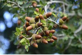 What's out there - What to listen out for! What's out there - What to listen out for!