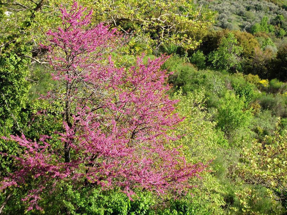 What's out there - What to listen out for! What's out there - What to listen out for!