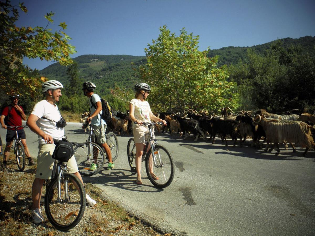 Mountain Biking Mountain Biking