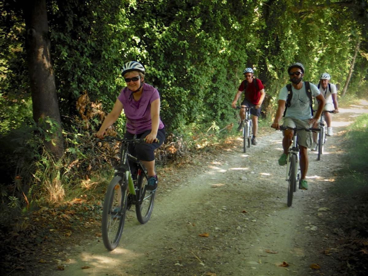 Mountain Biking Mountain Biking