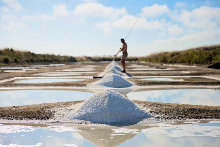 Carrefour s’oppose à l’ouverture du label bio aux productions de sel