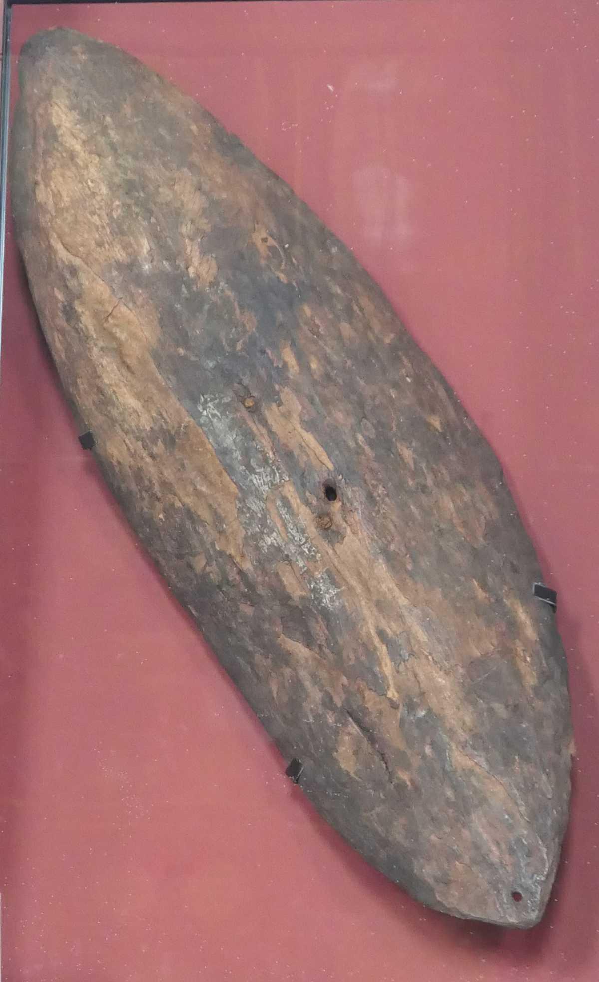 Gweagal Shield