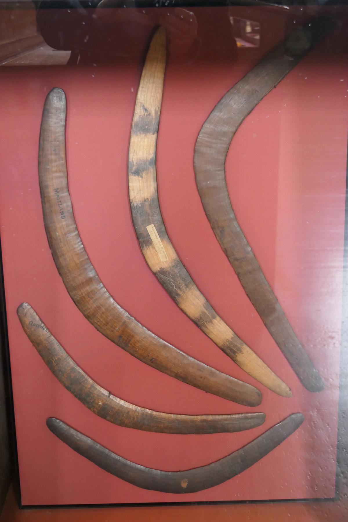 Gweagal Shield