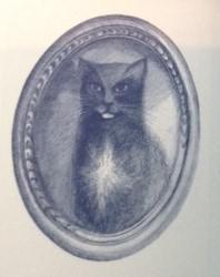 Trim, the seafaring cat