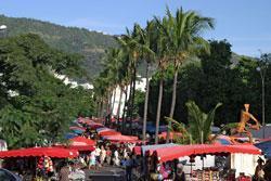 Marché des Camélias
