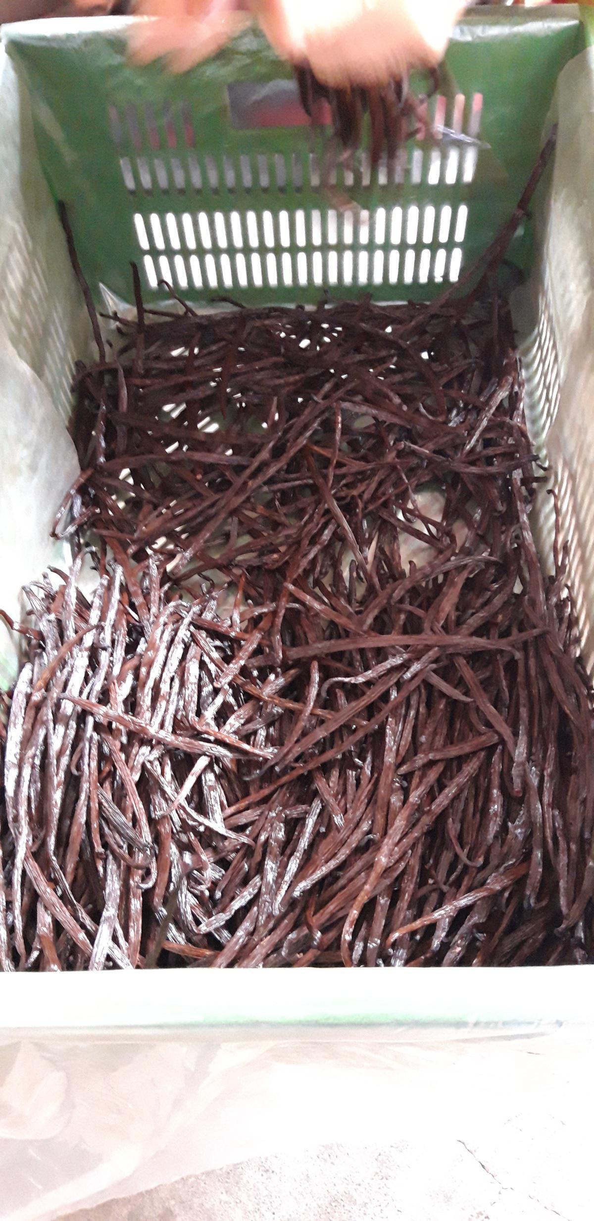 Pro Vanille Pro Vanille