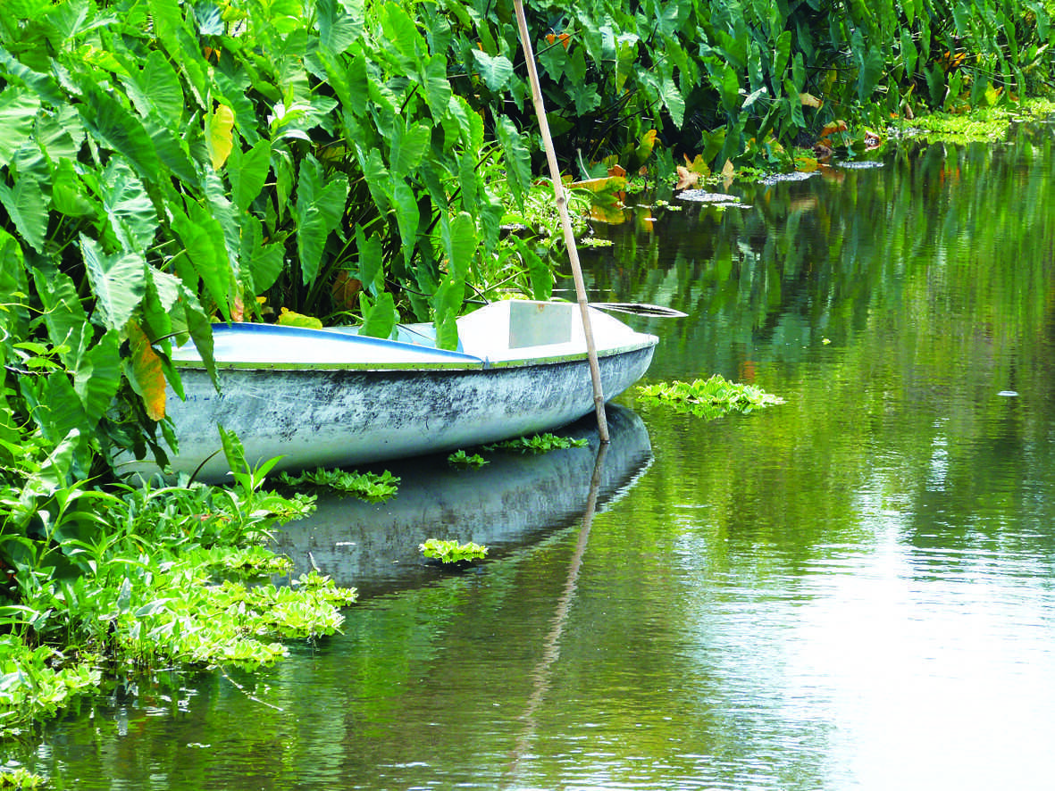 à propos de Saint-Paul