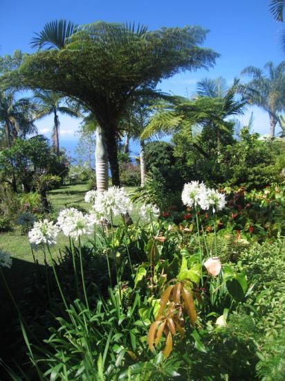 Chez Mamie Chez Mamie