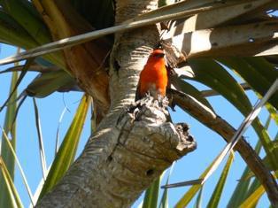 Chez Mamie Chez Mamie