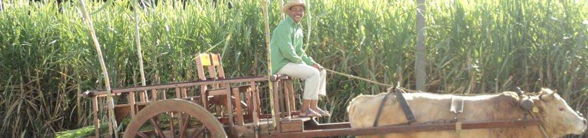 Le Relais de Bellevue Le Relais de Bellevue