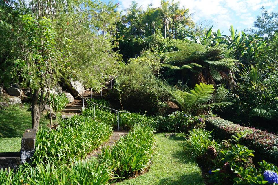 Mathieu PITOU Mathieu PITOU