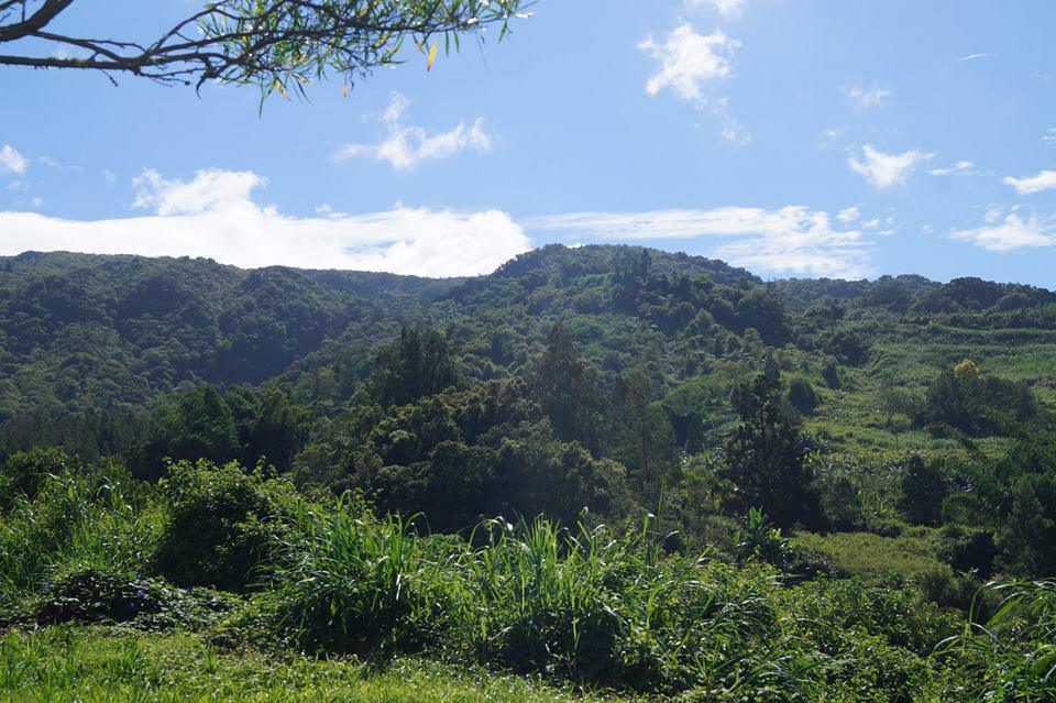 Mathieu PITOU Mathieu PITOU