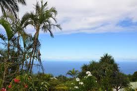 Anne Tipary Anne Tipary