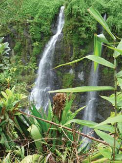 A voir absolument à Salazie A voir absolument à Salazie