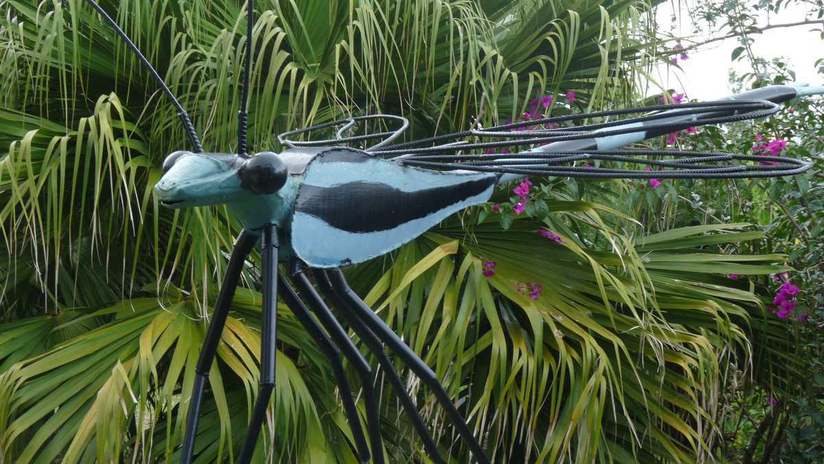 Le Jardin des Bestioles Le Jardin des Bestioles