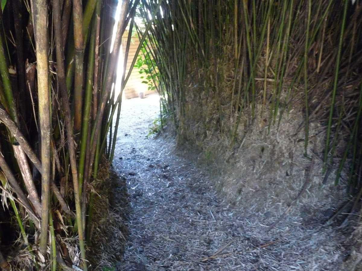 Le Labyrinthe En Champ Thé Le Labyrinthe En Champ Thé