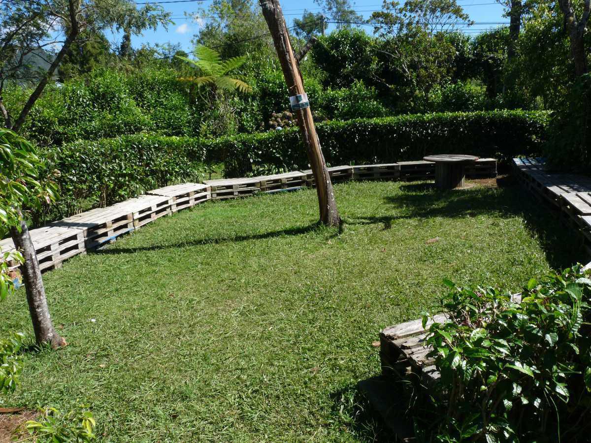 Le Labyrinthe En Champ Thé Le Labyrinthe En Champ Thé