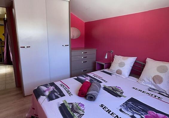 Le Dodo de La Saline Le Dodo de La Saline