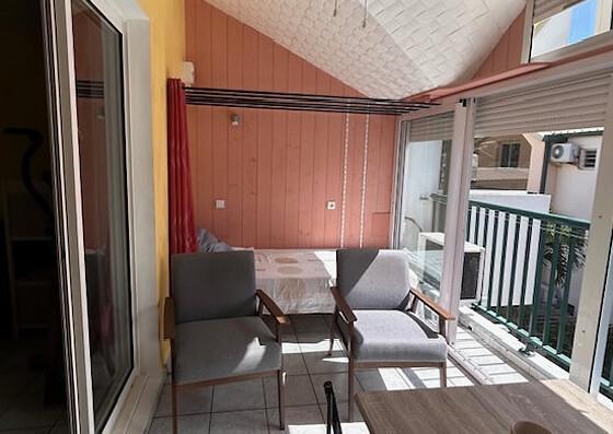 Le Dodo de La Saline Le Dodo de La Saline