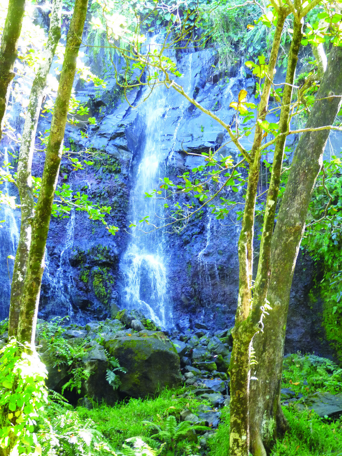 L' anse des Cascades