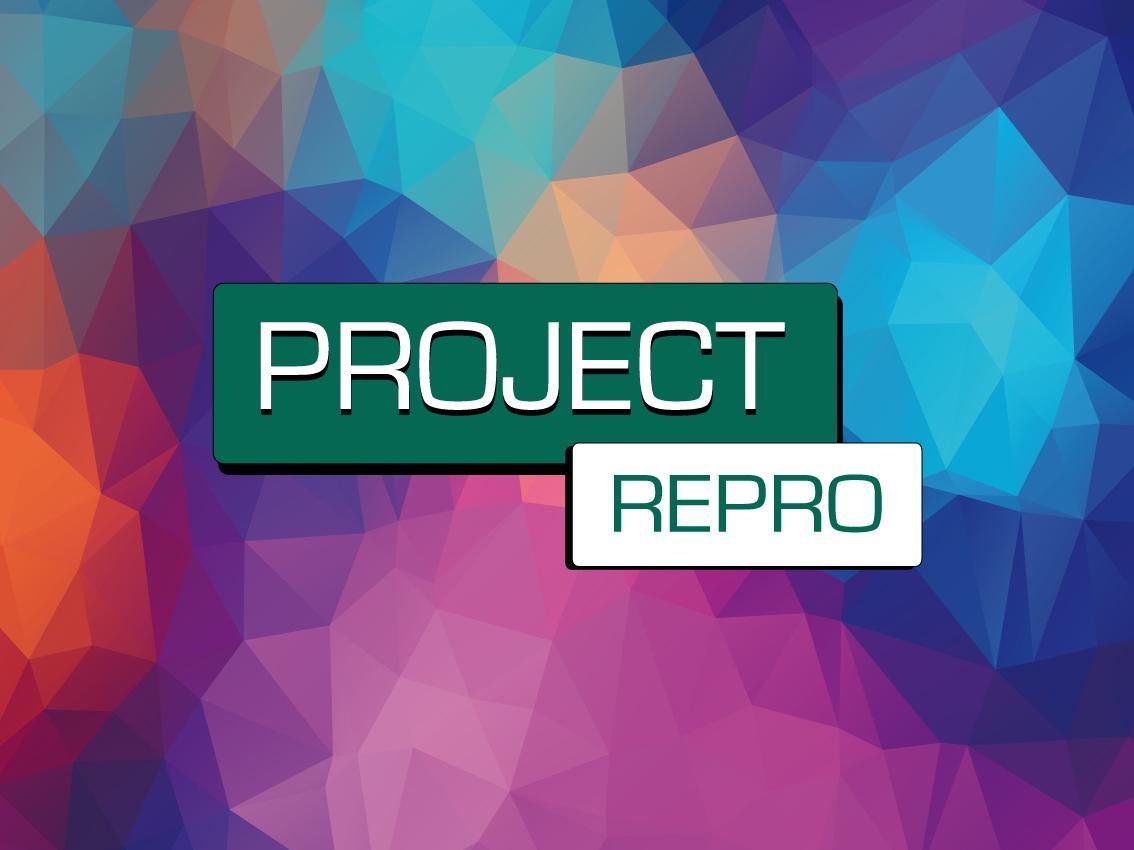 Repro Download Project Repro