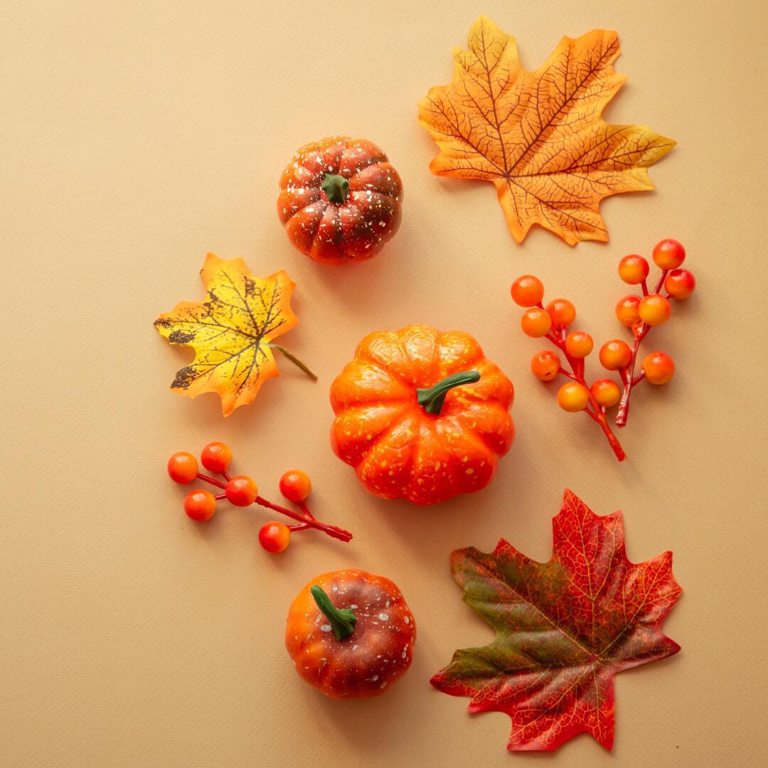 Consulenza con Erborista Consulenza con Erborista