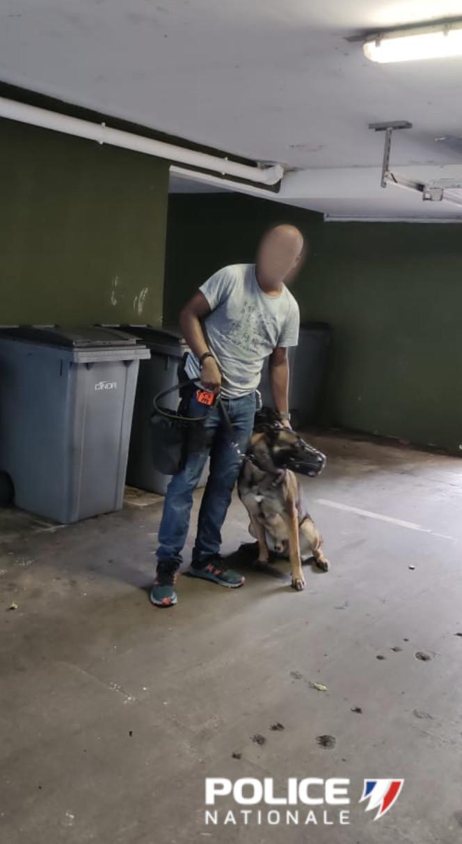 Les policiers débusquent des chiens enfermés dans une cave à Saint-Denis