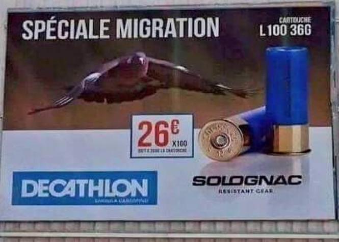 decathlon corse