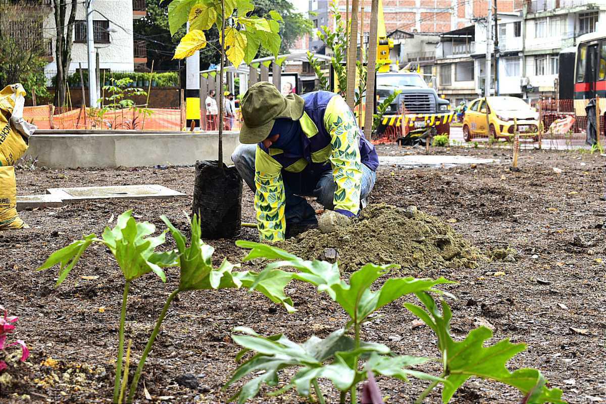 Con la siembra de más de 146 árboles avanza la compensación ambiental en el intercambio de Colombia con la 80